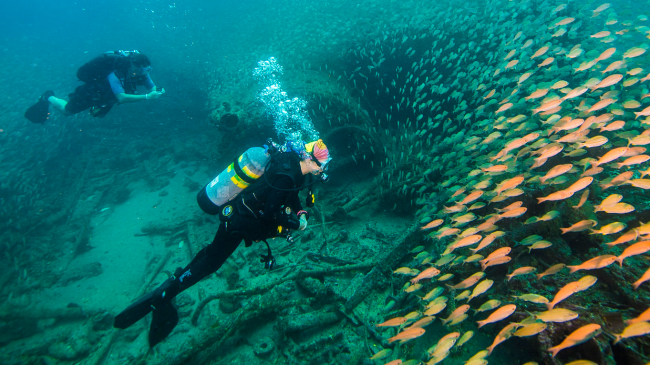 An underwater ship wreck with a couple of divers next to a school of fish. 