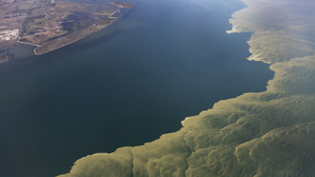 Image showing algal bloom in the western basin of Lake Erie, as seen by aircraft during a flyover in September 2017.