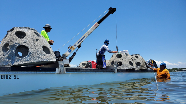Photo of Florida Sea Grant-trained marine contractors working to install concrete domes that form the basis of an oyster reef.
