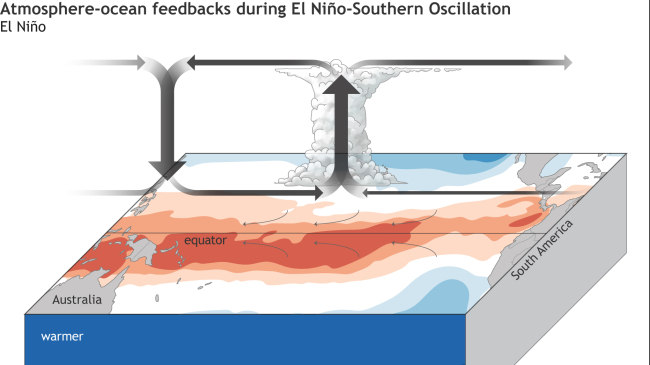 Atmosphere-ocean feedbacks during El Nino southern oscillation.
