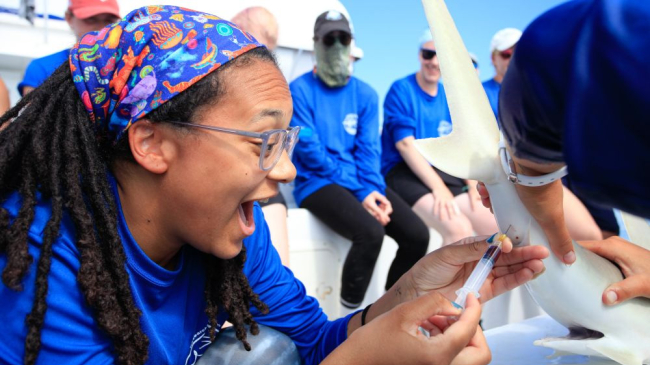  A person expresses excitement on their face as they draw blood from a small shark