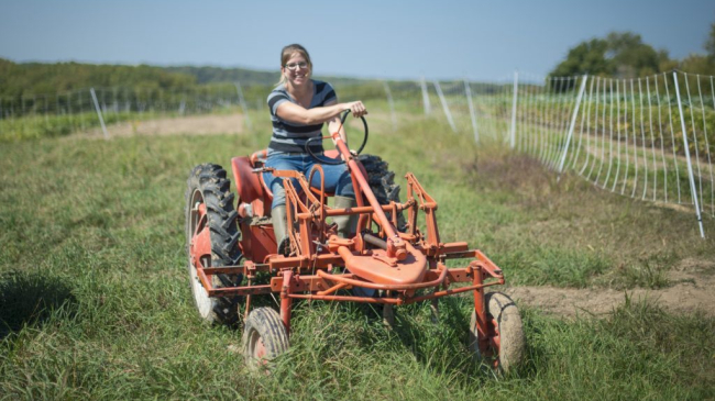 Photo showing Kate Edwards uses a vintage tractor on her vegetable farm in Johnson County, Iowa. USDA Photo by Preston Keres