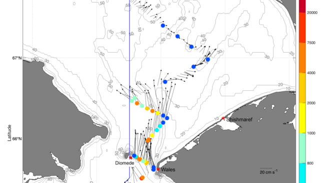 Map of Bering Strait showing presence of Alexandrium catenella. A dot color spectrum of dots to indicate cells of present. Dark blue is 0 to red is 20,000