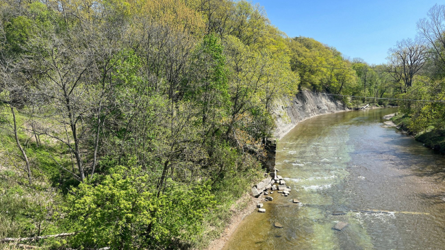 A river winds through trees and a rocky shore on a sunny day. 