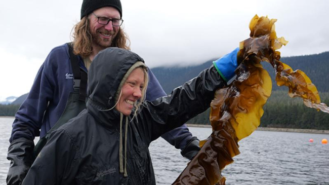 Jonny Antoni and Kaitlyn Tolin of Sea Quester sugar kelp farm outside of Juneau, Alaska.