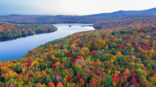 Aerial view of the colorful foliage at Lake Whitingham in the Green Mountains of Vermont.