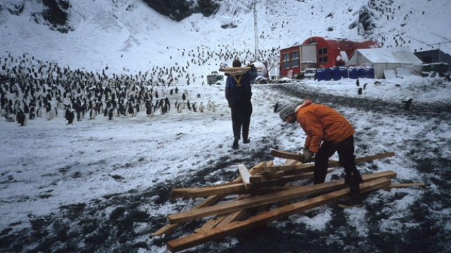 Two men working outside the original Seal Island field camp (red buildings in the distance) at Cape Shirreff, Antarctica. Off to the left are hundreds of penguins looking on.