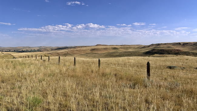 Photo of a vast landscape in Montana (2022). Credit: Getty images.