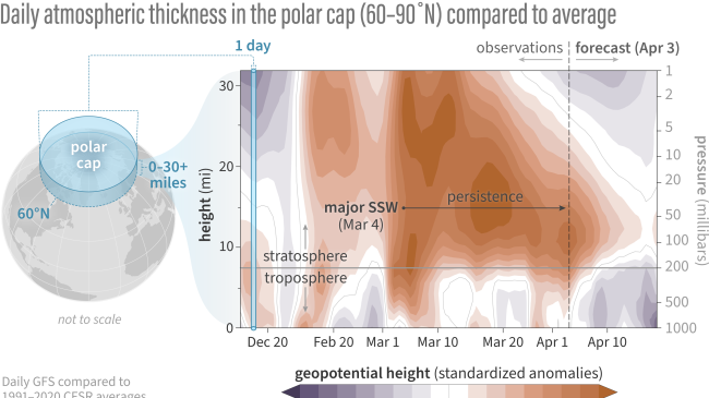 Differences from average atmospheric thickness (standardized geopotential height anomalies) in the column of air over the Arctic from the troposphere to the stratosphere since mid-December 2023. Major sudden warmings occurred on January 16th and March 4th. The second event in particular led to long-lasting higher-than-average thickness throughout the stratosphere. A few "drips" have increased the atmospheric thickness in the troposphere, but have generally been short-lived. 