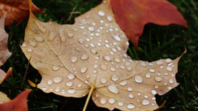 Get ready for fall weather hazards