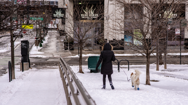 Despite bouts of extreme cold in parts of the U.S., such as in the Midwest, January 2019 was wetter and warmer than average. Pictured: Walking the dog in Chicago. January 13, 2019.