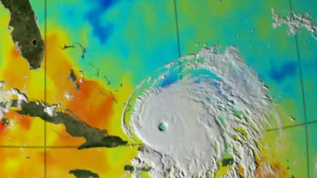Video: Hurricane survival guide