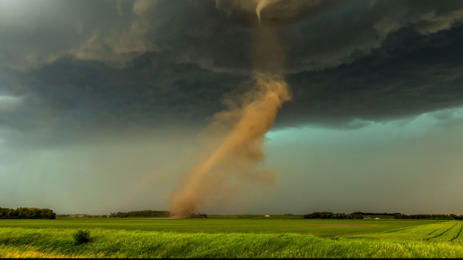 A tornado coming out of a dark storm cloud in a wide open field.