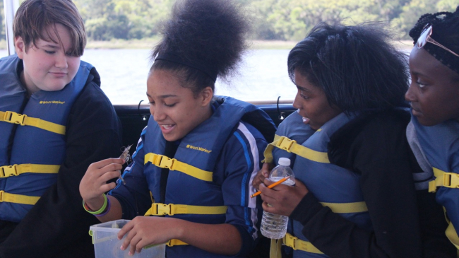 Students observe a White Shrimp on the E/V Discovery while exploring the Edisto River in the ACE Basin National Estuarine Research Reserve. At the reserve, students conduct fisheries research alongside scientists and, in the process, are introduced to a wide array of careers in marine science and environmental resource management. 