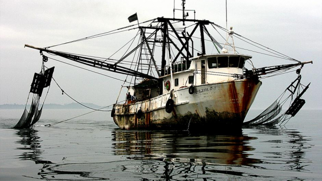 Illegal fishing vessel off the coast of Gabon.
