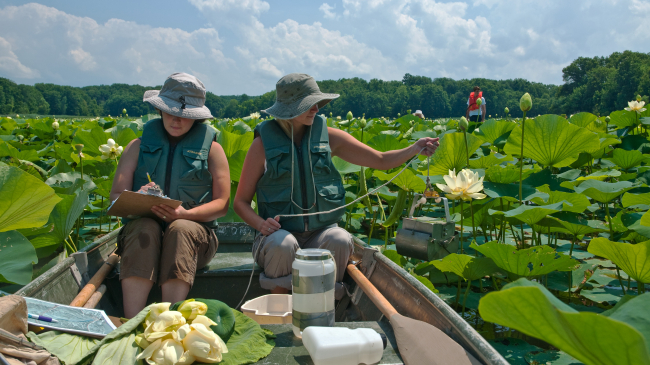 Students in a row boat drift through lily pads and collect water samples. Both students are wearing khakis, green life vests, and bucket hats.