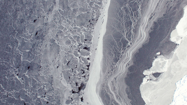 Young, thin ice floats in the Amundsen Sea on October 16, 2009.