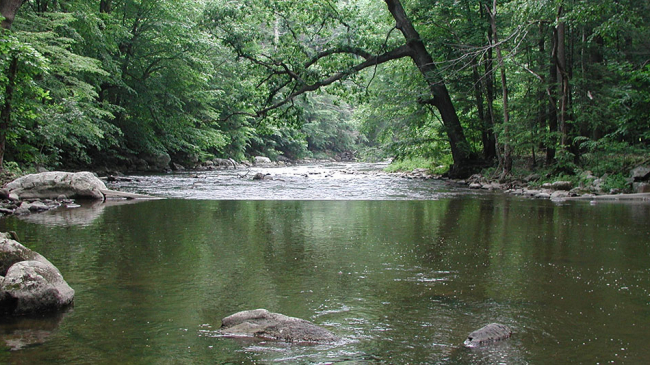 Restoration of rivers and their associated riparian habitats are underway as a result of natural resource damage assessment activities conducted by NOAA and the other Natural Resource Trustees at hazardous waste sites. This image shows Raritan River, New Jersey.