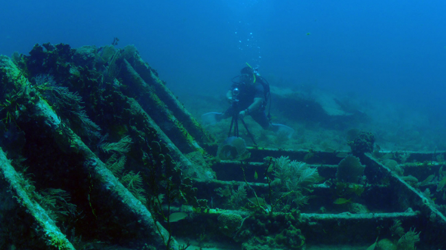 A shipwreck in Florida Keys National Marine Sanctuary.