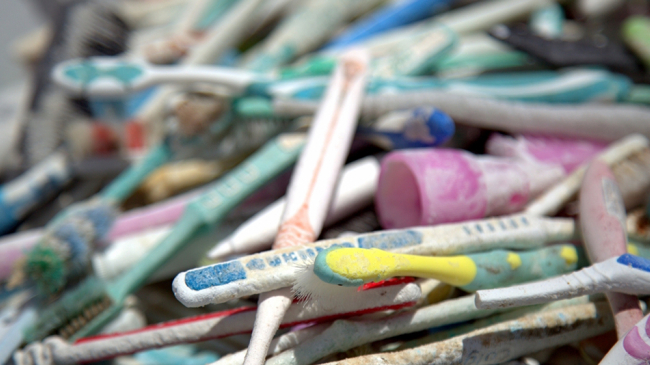 Plastic debris, such as these toothbrushes, travels far and wide.