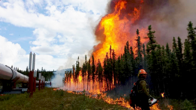 The 2015 Alaska fire season burned the second largest number of acres since records began in 1940. Human-induced climate change may have increased the risk of a fire season of this severity by 34-60%. 
