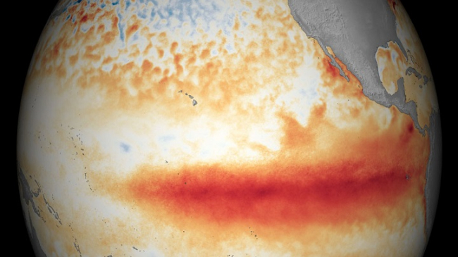 Satellite sea surface temperature during January, 2016. Colors show where average monthly sea surface temperature was above (red) or below (blue) it’s 1981-2010 average. Waters across the tropical Pacific Ocean were warmer than average during this month, suggesting that El Niño still had a grip on the basin. Photo: Climate.gov/NNVL. Data: Geo-Polar SST.