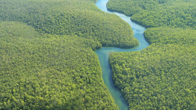 Aerial image of the Amazon River.