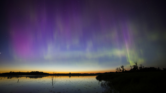 A view of the northern lights from the Minnesota wetlands. 