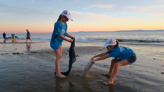 Two elementary school students on a beach using a tool to pull up animals from the sand.