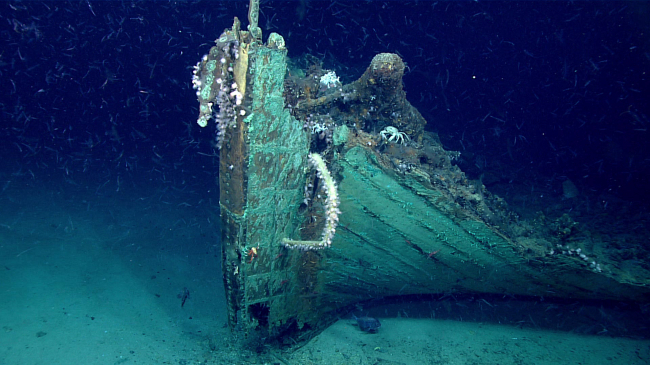 A close-up view of the bow of a 19th-century shipwreck found in the Gulf of Mexico May 16, 2019. Marine life is prevalent on the wreck, except on the copper sheathing which still retains its antifouling ability to keep the hull free of marine organism like Teredo navalis (shipworm) that would otherwise burrow into the wood and consume the hull or barnacles that would reduce the vessel’s speed. 
