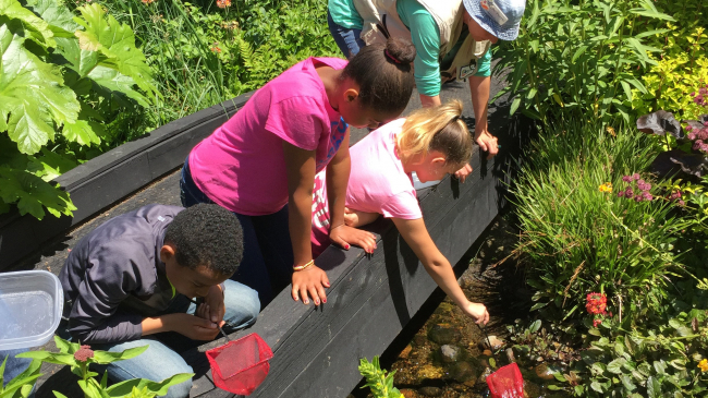 Star Lake Elementary and Totem Middle School students work with the Environmental Science Center to sample macroinvertebrates at a field study site in Washington state as part of a 2017 NOAA-21st Century Community Learning Center Watershed STEM Education Partnership Grant.