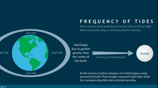 A graphic showing the frequency of tides and the tidal bulge of water due to the moon's gravitational pull. As the moon's position changes, the two tidal bulges rotate around the Earth. These bulges represent high tides, while the corresponding flatter sides indicate low tides..
