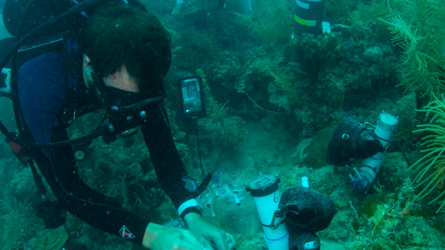 Nathan Formel of University of Miami and NOAA's Atlantic Oceanographic and Meteorological Lab, deploys a subsurface autosampler to help measure the health of coral. 