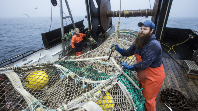 Fishermen aboard the Miss Sue, of Newport, Oregon, haul in their catch of rockfish from off the U.S. West Coast. Rockfish represent some of the most common groundfish off the West Coast, and several species have been rebuilt in recent years.