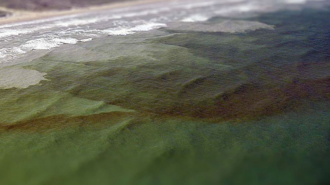 Blooms of harmful algae, like this "red tide" off the coast of Texas, can cause illness and death in humans and animals.