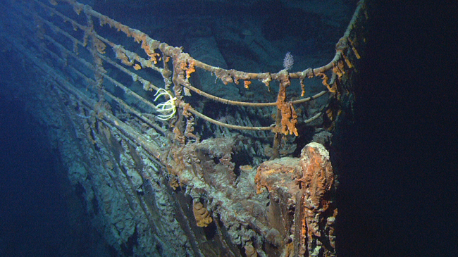 The RMS Titanic rests at the bottom of the Atlantic Ocean