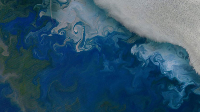 Phytoplankton blooms in the Barents Sea, visible as green and white swirls, captured in space by NASA's Aqua satellite on July 10, 2014. 