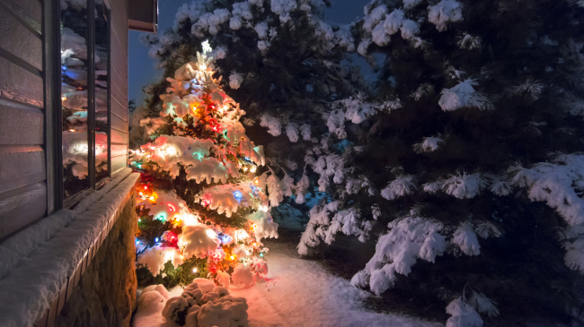 A small, colorfully lit Christmas tree stands next to house after a heavy snowfall.