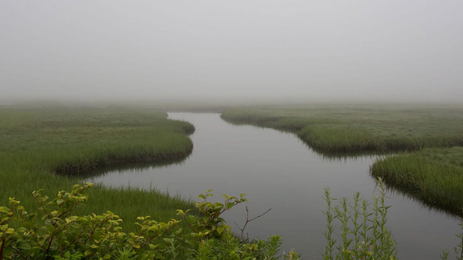 A foggy sky over salt marshes of an estuary in Hampton, New Hampshire. 