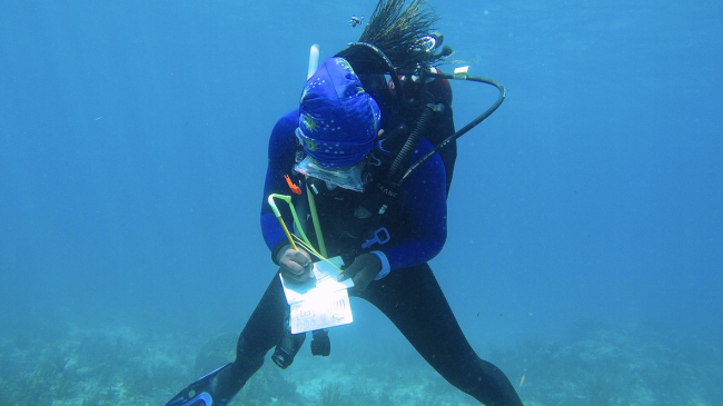 Kayelyn Simmons, a 2021 Knauss Finalist, is conducting habitat photogrammetry mapping while scuba diving.