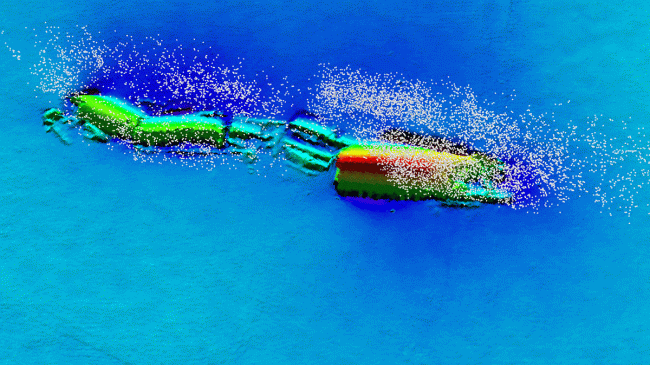 High resolution image of W.E. Hutton and the fish living on it. Fish are displayed with white dots as detected by an instrument called a multibeam echosounder.