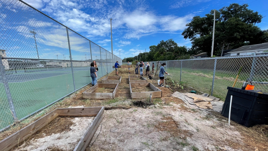 A wide-angle photograph captures a dozen students working together to prepare an area for gardening. Some carry and install empty wooden frames of raised beds, while others shovel dirt and water plants. They appear to be converting a previously unused area of their school between two chain-link fences in to a garden. 