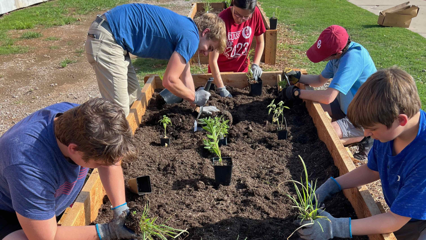 Five students kneel and stand around the sides of a raised garden bed as they take plants out of small pots and plant them in the freshly turned soil.