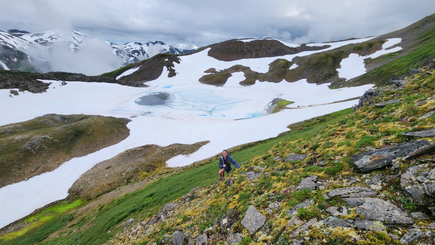 Courtney poses on sloping terrain against a picturesque Alaskan alpine landscape. A rocky area with low vegetation and mosses gives way to low grass as it slopes down towards another rocky area. At the base of the slope, an area is covered in snow and ice that thinly covers a pool of water. Beyond the icy pool there are mountains in the backgrounds partially covered in snow.