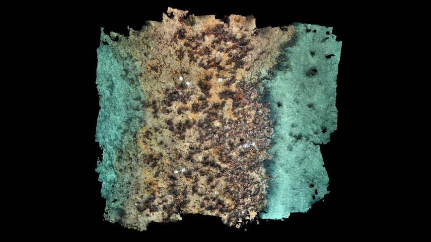The model offers an aerial view of the site as if taken underwater in crystal clear water. There is a central raised area in shades of tan and brown, like sand interrupted by rocks and coral, that gives way to what appear to be deeper areas on either side colored a light greenish-blue.