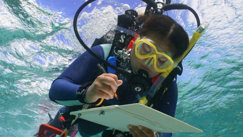 Ileana wears scuba gear and dives under crystal clear water. She is concentrating on writing on a dive slate.