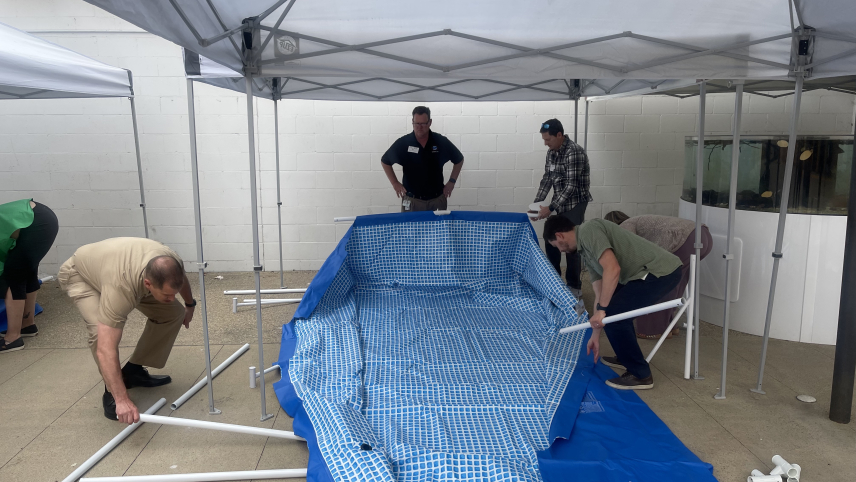 people assembling a pool
