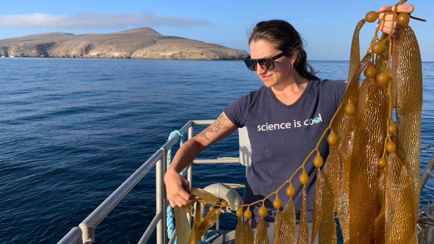 Natalie Dornan holds up a large piece of kelp while standing on the back of a ship. She is wearing sunglasses and a shirt that reads, “Science is Cool.” Santa Barbara Island is in the background on a very flat and calm day on the water in NOAA's Channel Islands National Marine Sanctuary.