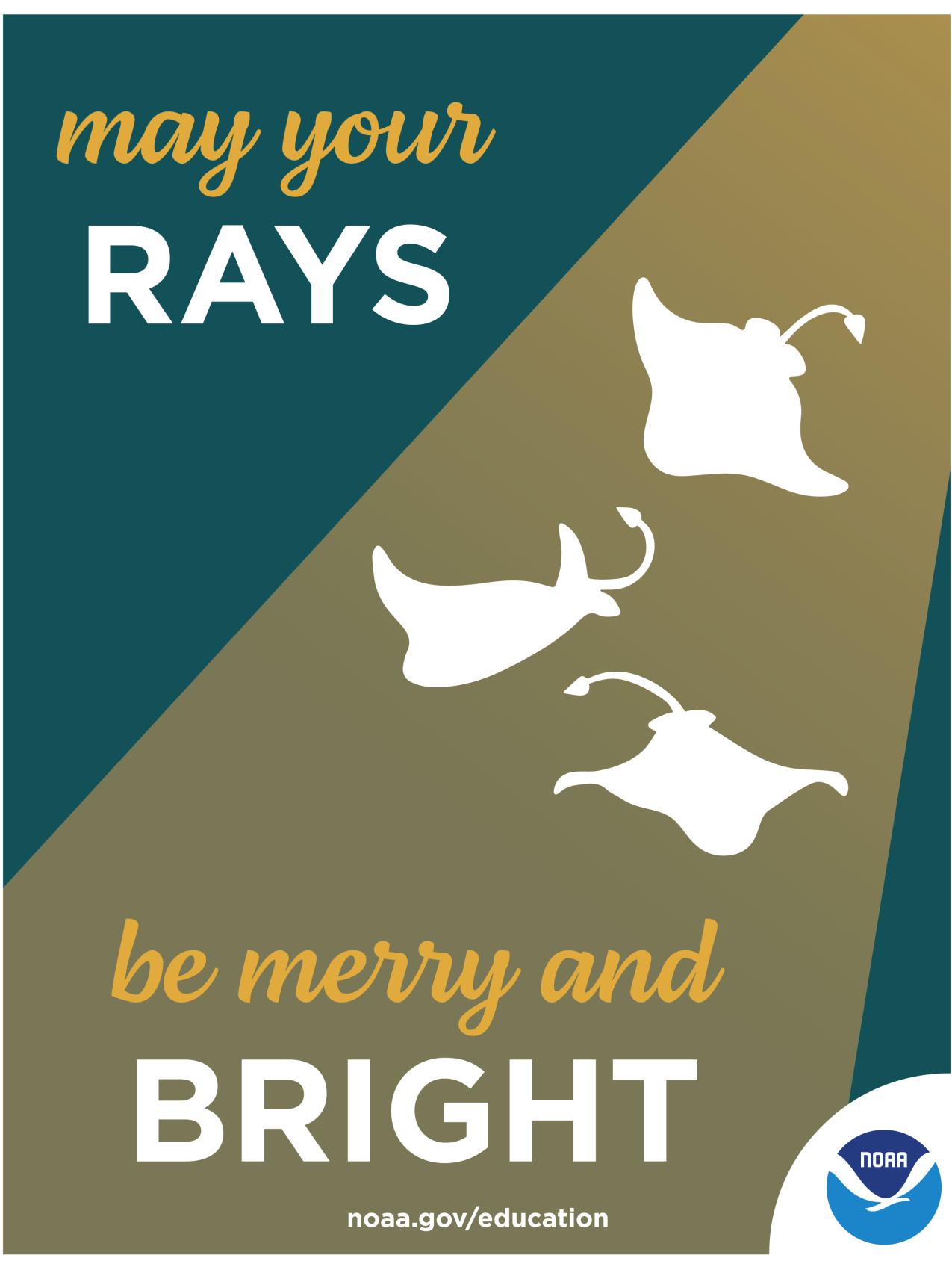 An illustrated holiday card featuring three stingrays swimming in a column of light. There is a NOAA logo in the corner of the card. Text: May your rays be merry and bright! noaa.gov/education