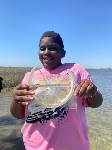 In a marsh on a clear day with blue skies, a student stands in the shallow part of the bay holding a small clear tank displaying some transparent, gelatinous organisms in water.